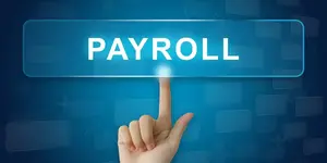 Payroll services for startups. Get expert services built for growing startups. Tax sorted, pensions handled, team paid on time. From £29/month. Start today!