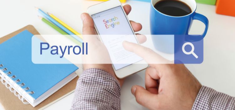 Compare payroll services online and fast!